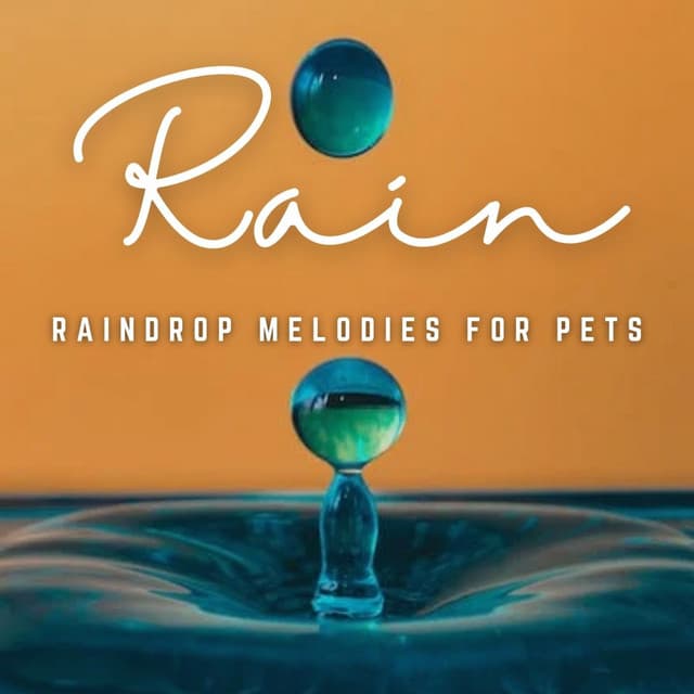 Raindrop Harmony: Relaxing Sounds for Furry Friends - Miracle of Silence