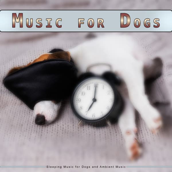 Music for Dogs: Calming Music for Dogs and Ambient Music - Pure Dog Music