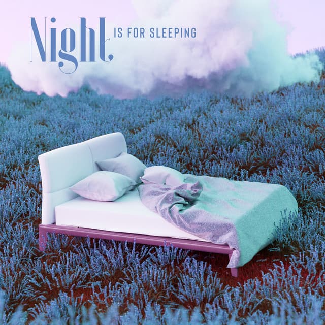 Night is for Sleeping: Soundscapes for Deep Sleep & Calm Your Mind - Deep Sleep System