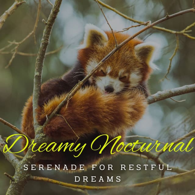 Piano Slumber Serenades: Dreamy Nocturnal Harmony - Calm Sacred Space
