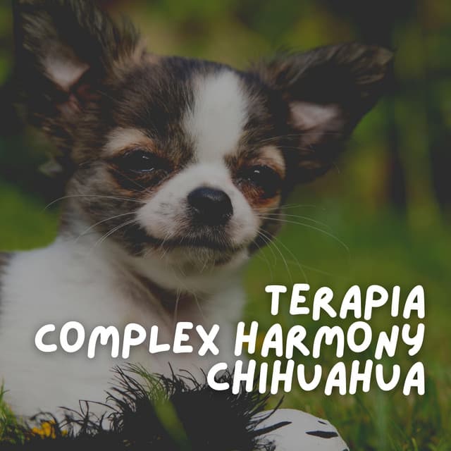 Terapia Complex Harmony Chihuahua - Biblioteca de Música Para Mascotas