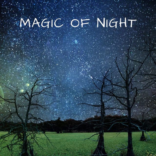Magic of Night - Masala Roo
