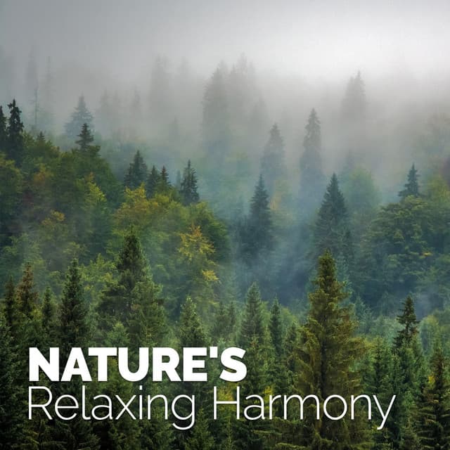 Nature's Relaxing Harmony - Ambiance nature