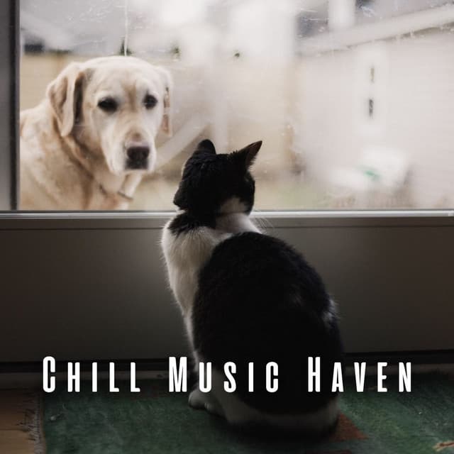 Chill Music Haven: Soothing Music for Pet - Chill Playlist