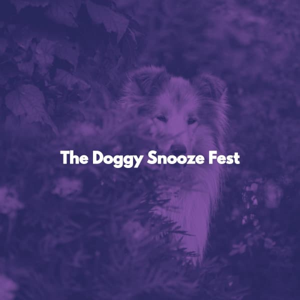 The Doggy Snooze Fest - Easy Listening Office Music