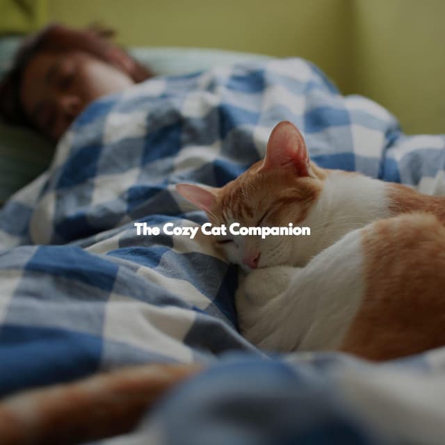 The Cozy Cat Companion - Soft Jazz Romance
