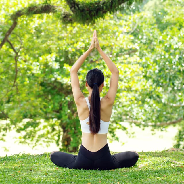 Nature's Harmony: Binaural Birds and Yoga Serenity - Brainwave Binaural