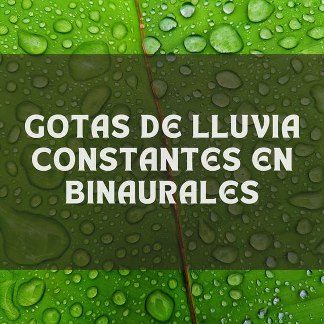 Gotas De Lluvia Constantes En Binaurales - ASMR Lluvioso
