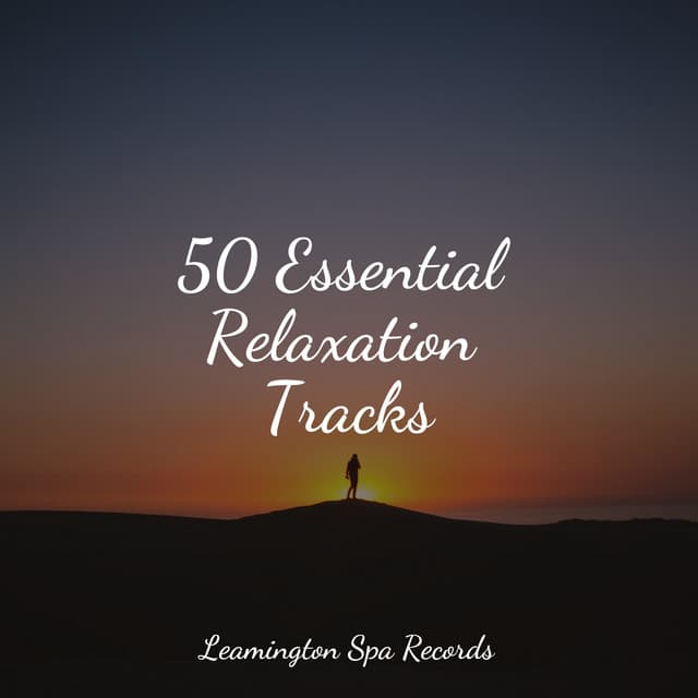 50 Essential Relaxation Tracks - Heavy Rain Sounds
