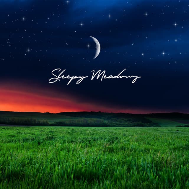 Sleepy Meadows - Deep Sleep Meditation Music, Relaxing & Healing Spa Lullabies by Nature Sounds - Slumber Music Zone