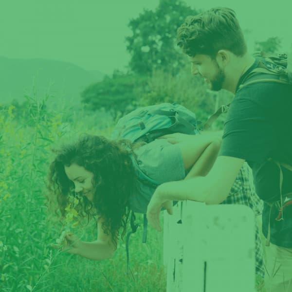 Opulent Jazz Guitar Solo - Bgm for Taking Notes - Working from Home Playlist