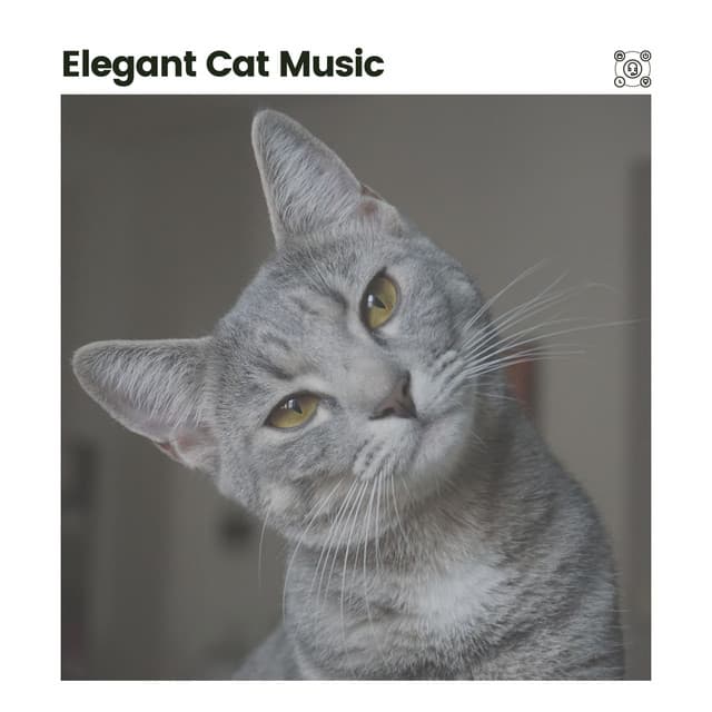 Elegant Cat Music - Music for Cats Peace