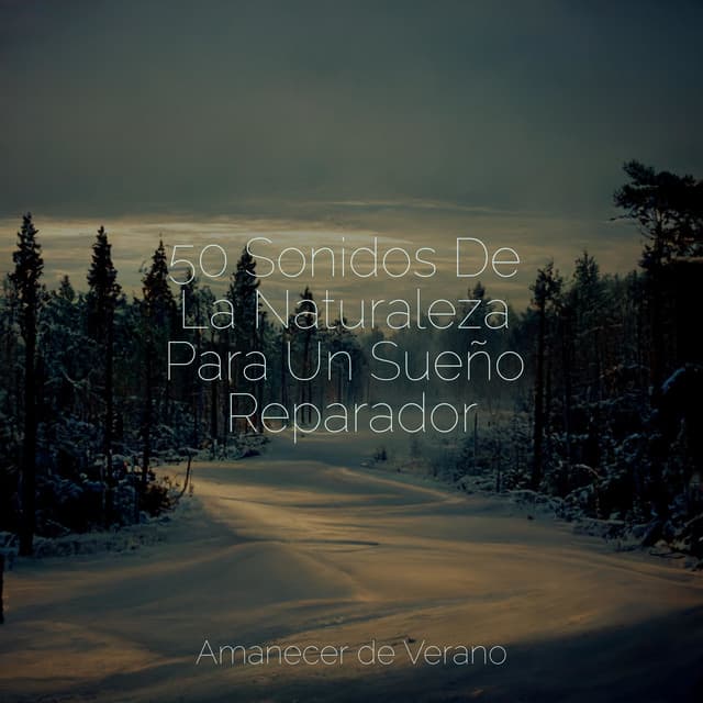 50 Sonidos De La Naturaleza Para Un Sueño Reparador - Nature Sounds Nature Music