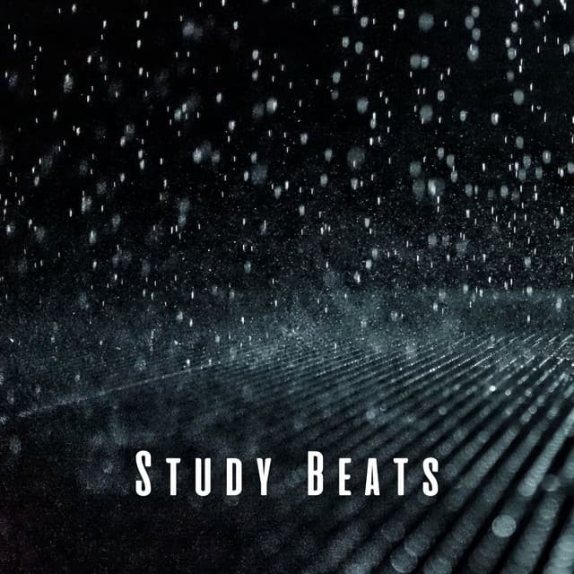 Study Beats: Concentrated Rain Symphony - thankful for the rain