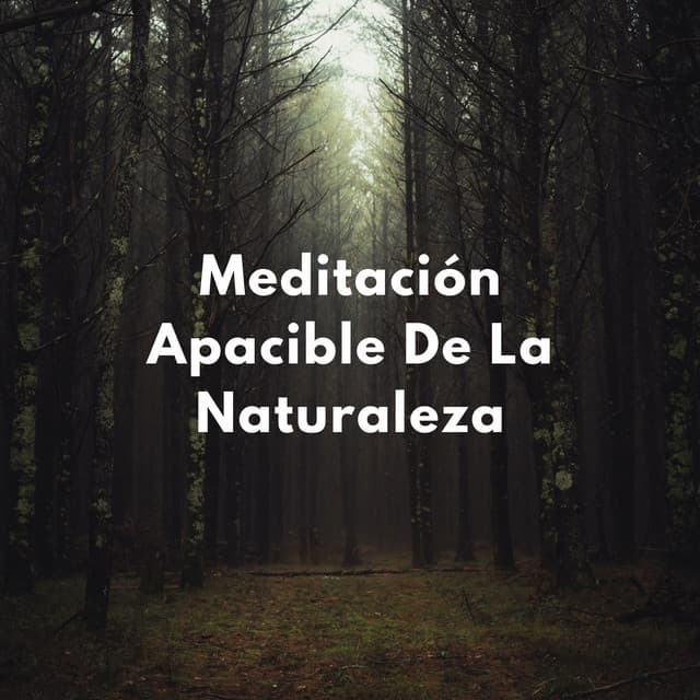 Atención Plena En La Montaña: Meditación Apacible De La Naturaleza - La naturaleza llama