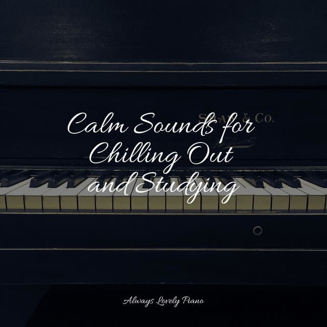 50 Tracks to Relax Your Mind - Piano Therapy