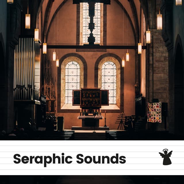 Seraphic Sounds - Relaxed Minds