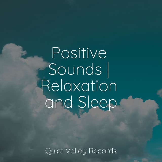 Positive Sounds | Relaxation and Sleep - Rain Sounds Factory STHLM