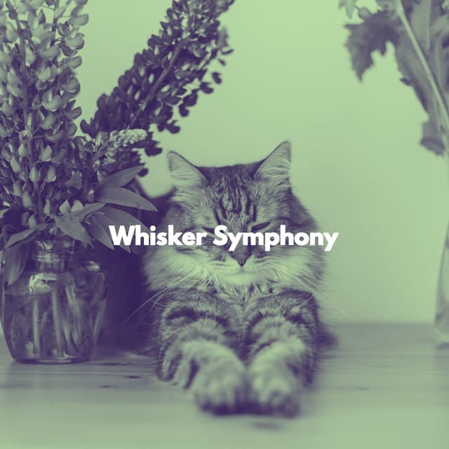 Whisker Symphony - For Cats Only