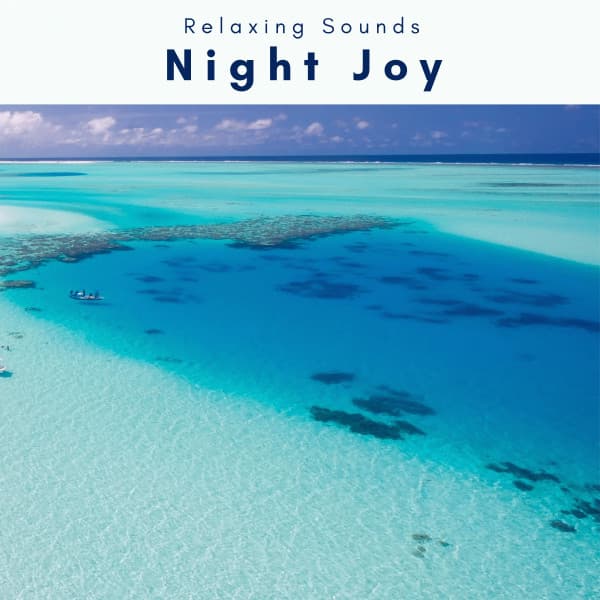 A Night Joy - Sleep Tech