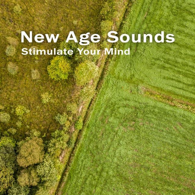 Stimulate Your Mind with New Age Sounds – Melodies for Positive Attitude, Productive Learning, Study Vibes - Study New Age Counter Display