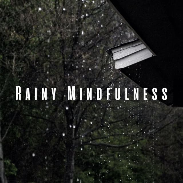 Rainy Mindfulness: Elevating Focus with Pink Noise - Shush Shush Shush