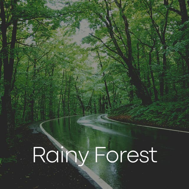 Rainy Forest - Rain Radiance