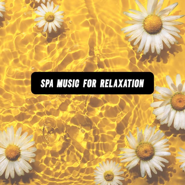 Spa Music for Relaxation - Water Music Oasis