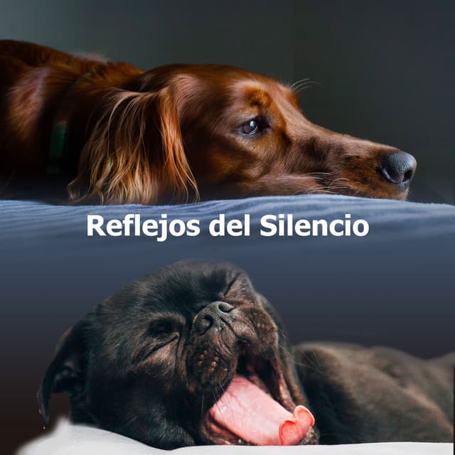 Sueño profundo REM