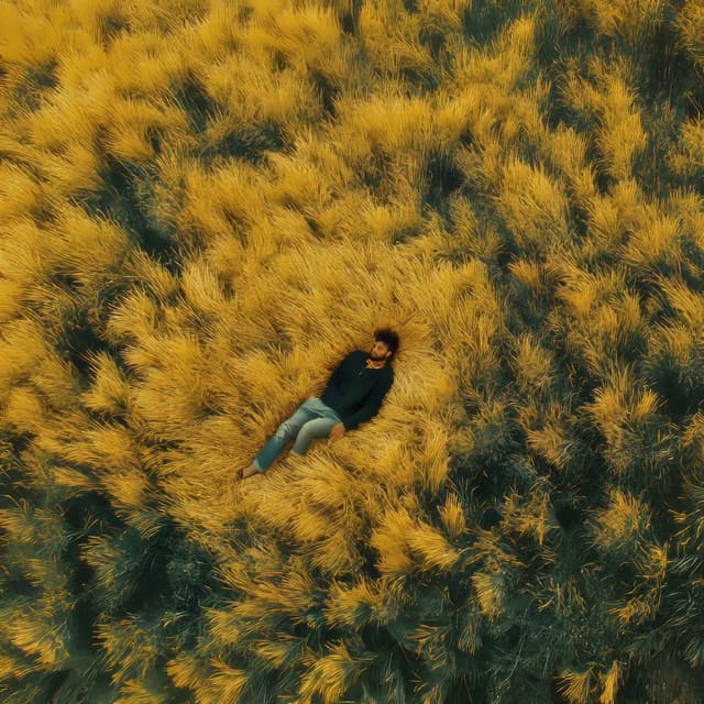 Sindets Regn: Lægende Strømme af Emotionel Tilfredsstillelse - 101 Relax