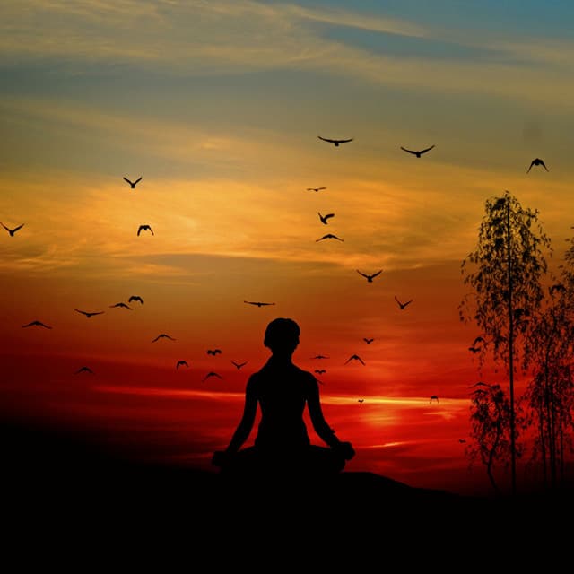 Twilight Nature Meditation: Harmonic Hooting Owl Soundscape - Neightbirds