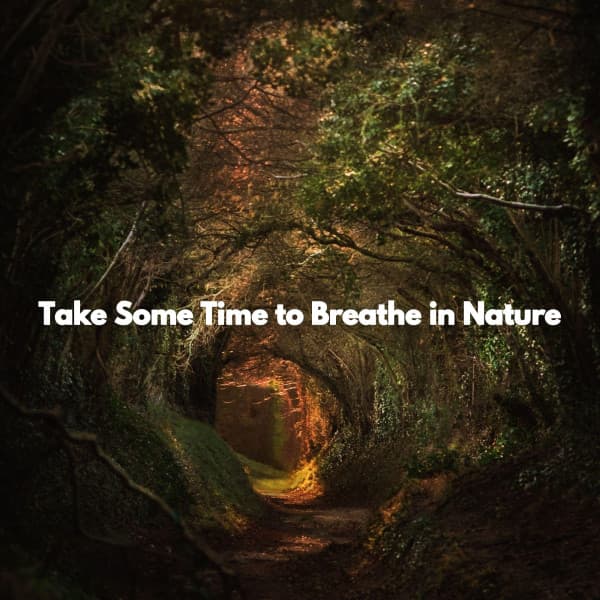 Take Some Time to Breathe in Nature - Summer Jazz