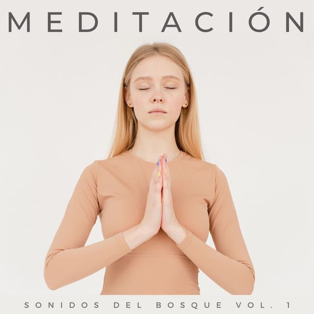 Meditación: Sonidos Del Bosque Vol. 1 - El colectivo de la selva tropical