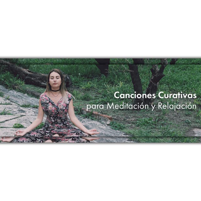 Canciones Curativas para Meditación y Relajación - Meditation Songs Guru