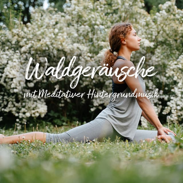 Waldgeräusche mit Meditativer Hintergrundmusik - Erholsame Musik Akademie