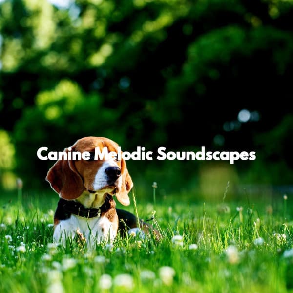 Canine Melodic Soundscapes - Calming Instrumental Jazz Ambiance