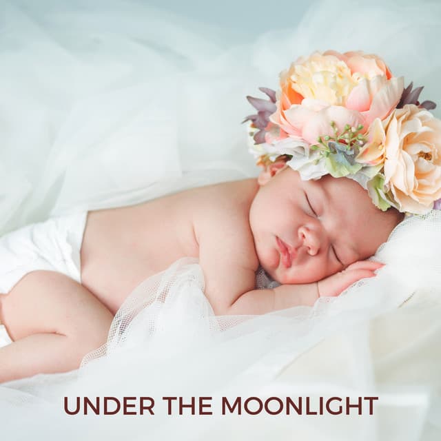 Under the Moonlight - Sweet Dreams Lullaby Studio