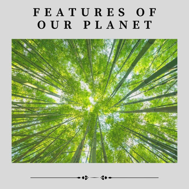 Features of Our Planet - Nature & Sounds Backgrounds
