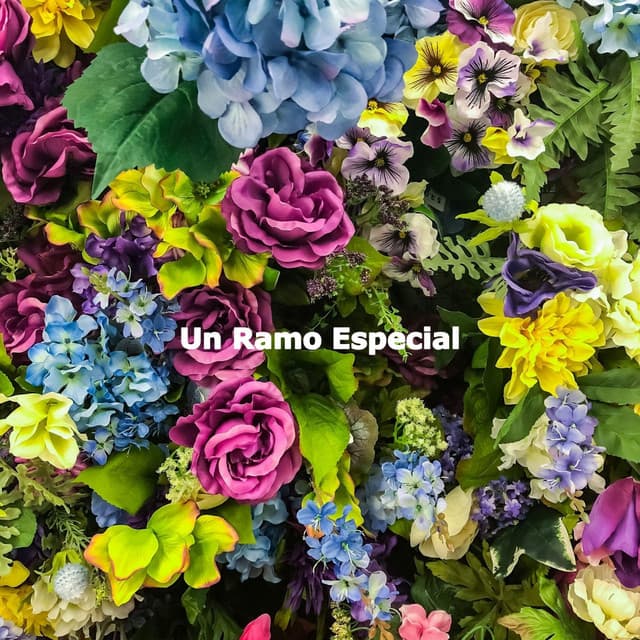 Un Ramo Especial - Coffee Shop BGM