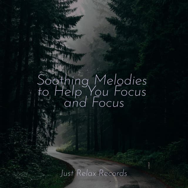 Soothing Melodies to Help You Focus and Focus - Musica para Meditar