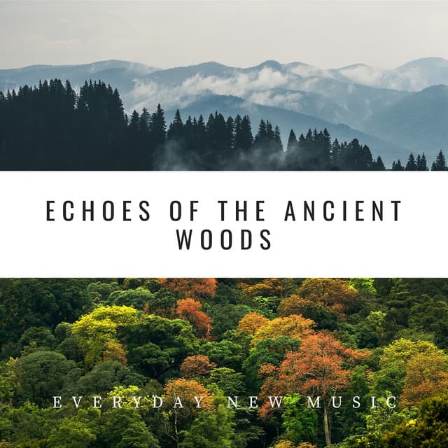 Echoes of the Ancient Woods - Everyday New Music