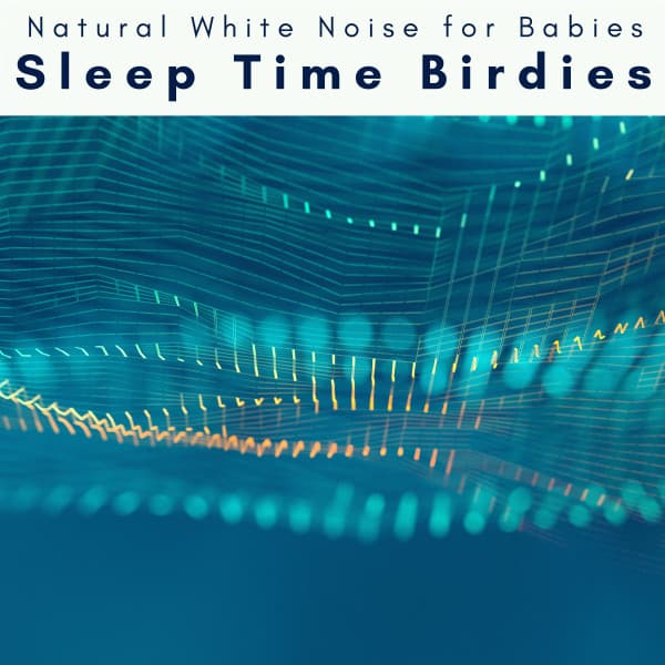 1 Sleep Time Birdies - Natural White Noise for Babies