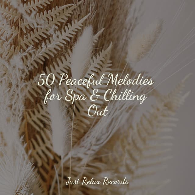 50 Peaceful Melodies for Spa & Chilling Out - Musica Reiki