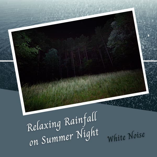 White Noise: Relaxing Rainfall on Summer Night - White Noise Rain