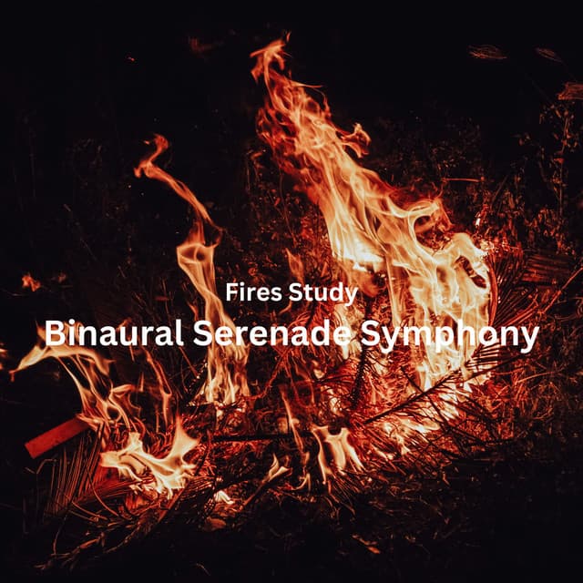 Fires Study: Binaural Serenade Symphony - Binaural Beats Concentration