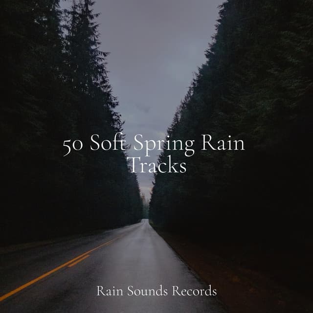 50 Soft Spring Rain Tracks - Lucid Dreaming Music