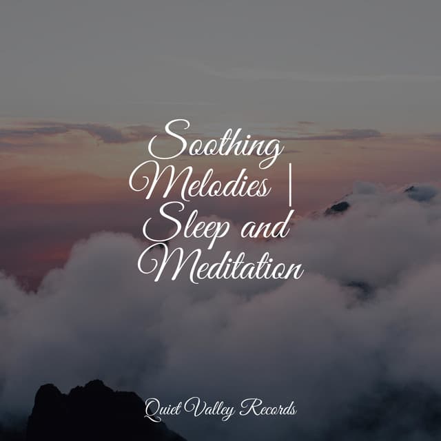 Soothing Melodies | Sleep and Meditation - Study Music & Sounds