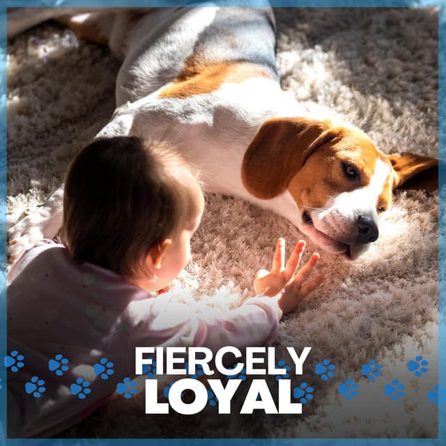 Fiercely Loyal - Calming for Dogs