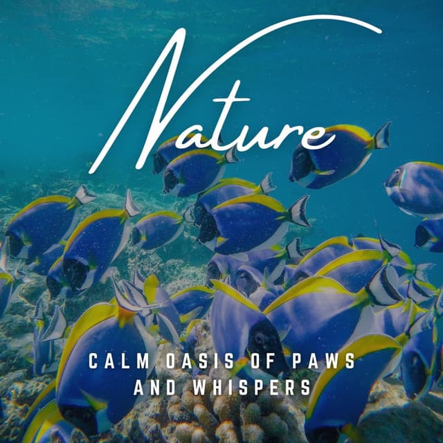 Cat's Secret Haven: Calm Whispers - Cat Music Zone