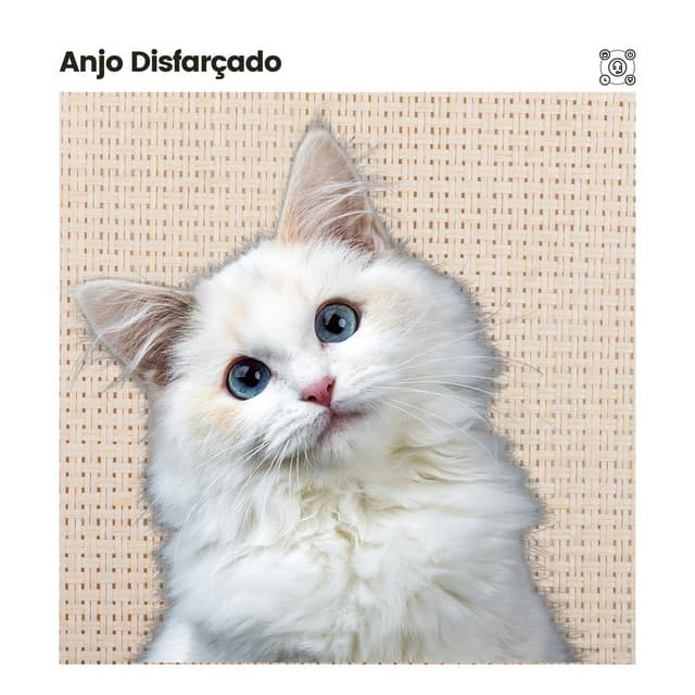 Anjo Disfarçado - Musica para Gatos